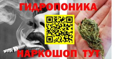 крисы Мариинск