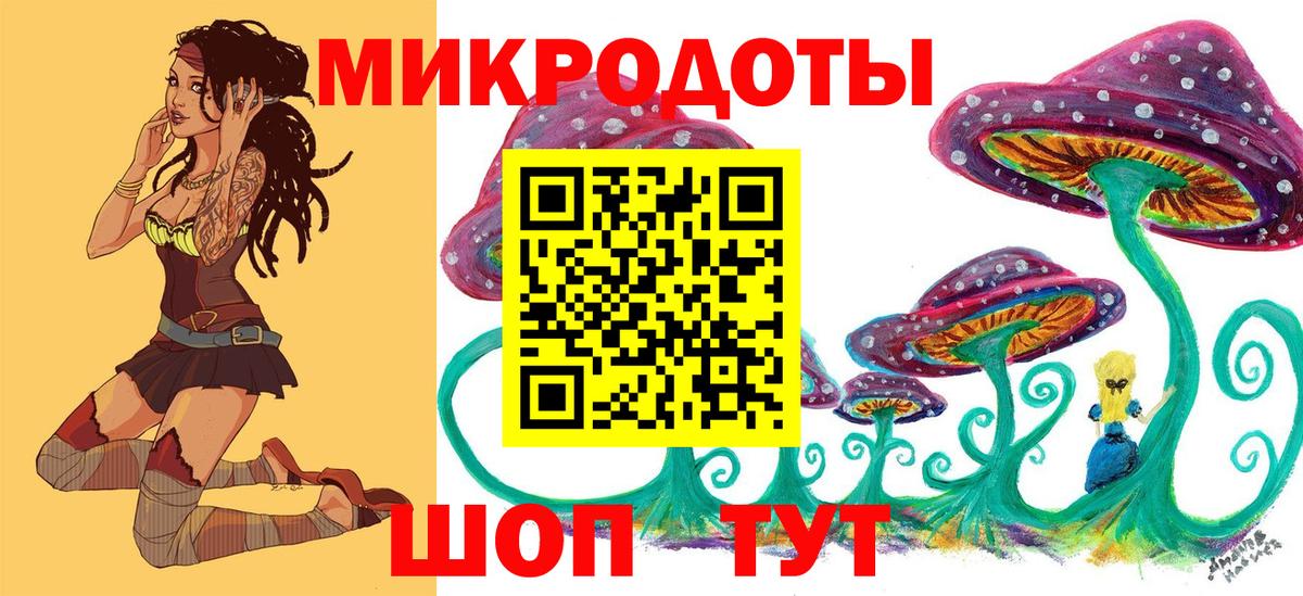 Галлюциногенные грибы Psilocybe Калининград